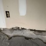 This image shows significant mold growing in a bathroom on the walls and ceiling - Independent Restoration Services - Built On Service - Steps to mold removal.